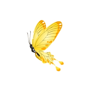 Lemon Butterfly